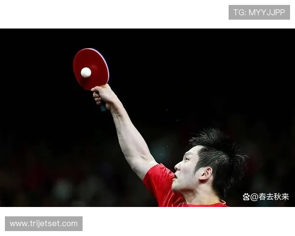 樊振东萨尔布吕肯精彩集锦精彩亮相 震撼全场展现世界乒坛王者风采